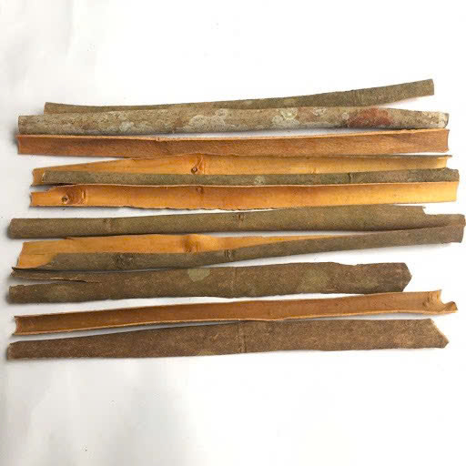 Cinnamon
